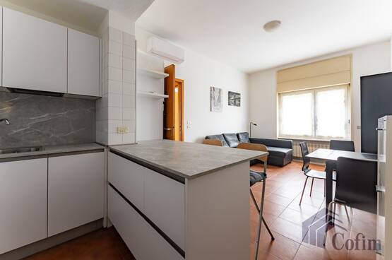 Bilocale luminoso  San Felice (Segrate) - in Affitto